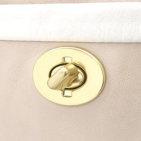 Coach(��ġ)  ������ ���� ũ�ν��� �̹���3 - ���̺��� �߰���ǰ