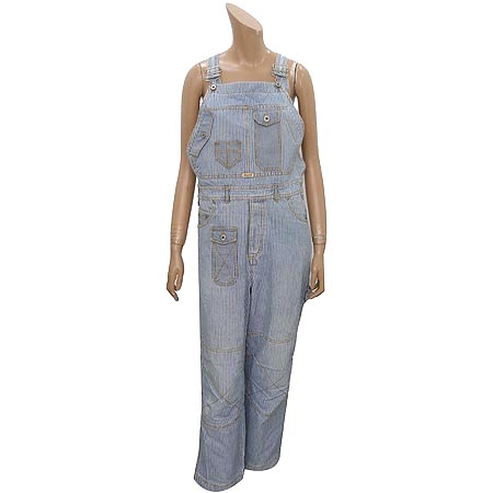 ���ϸ���  ����