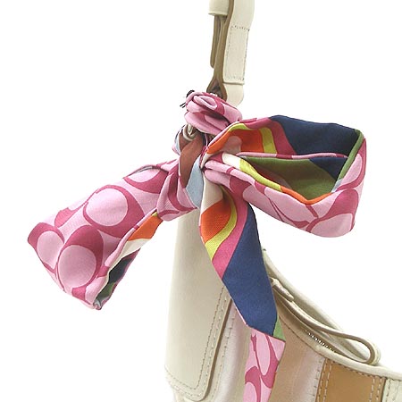Coach(��ġ) �ñ׳��� �����Ƽġ ��ī�� ȣ�� ����� �̹���5 - ���̺��� �߰���ǰ