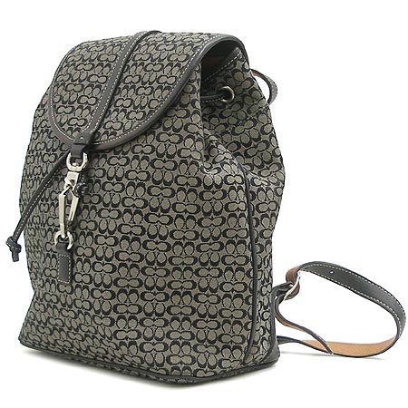 Coach(��ġ) �ñ׳��� ���� �̹���2 - ���̺��� �߰���ǰ
