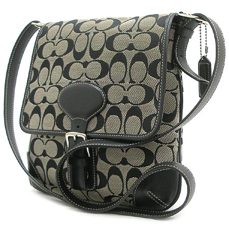 Coach(��ġ) �ñ׳��� ũ�ν��� �̹���3 - ���̺��� �߰���ǰ