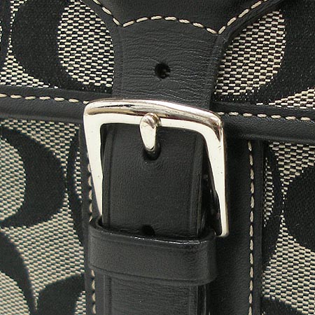 Coach(��ġ) �ñ׳��� ũ�ν��� �̹���4 - ���̺��� �߰���ǰ