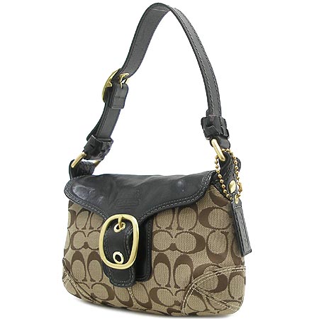 Coach(��ġ) �ñ׳��� ����� �̹���4 - ���̺��� �߰���ǰ