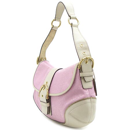 Coach(��ġ) �ñ׳��� ȣ�� ����� �̹���3 - ���̺��� �߰���ǰ