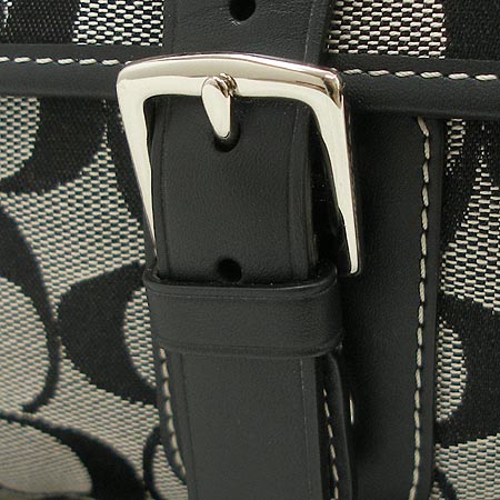 Coach(��ġ) �ñ׳��� ũ�ν��� �̹���4 - ���̺��� �߰���ǰ