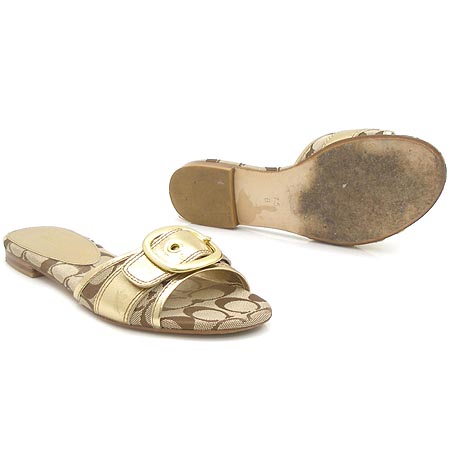 Coach(��ġ) ���� ��ġ�� ����� �ñ׳��� ������ ���� �̹���3 - ���̺��� �߰���ǰ