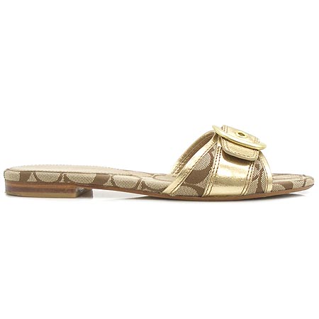Coach(��ġ) ���� ��ġ�� ����� �ñ׳��� ������ ���� �̹���4 - ���̺��� �߰���ǰ