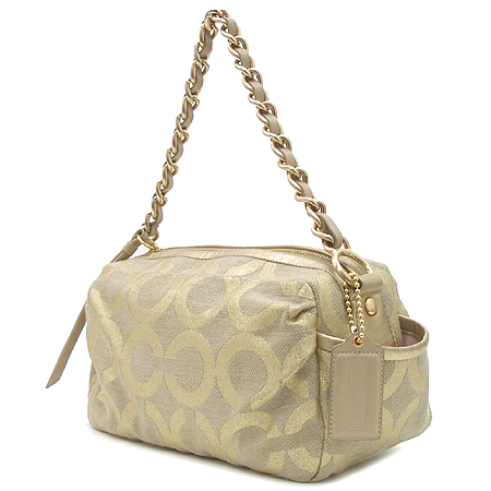 Coach(��ġ) ��Ż�� ���� ü�� ����� [�б�������] �̹���2 - ���̺��� �߰���ǰ