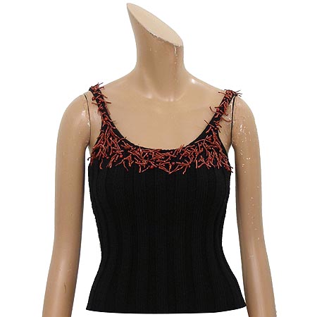 ������ü  ����