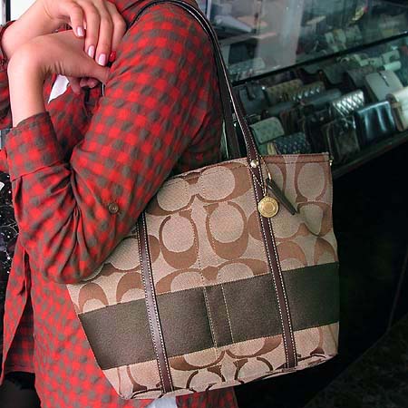 Coach(��ġ) �ñ׳��� �ΰ� �ٰ� ����� �̹���2 - ���̺��� �߰���ǰ