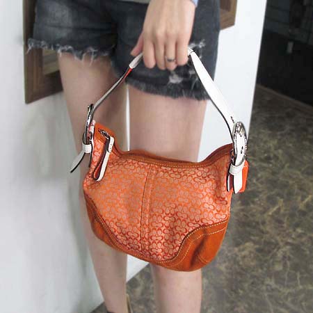 Coach(��ġ) �ñ׳��� ȣ�� ����� �̹���5 - ���̺��� �߰���ǰ