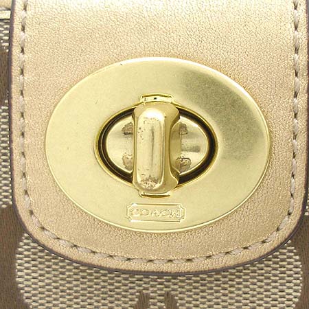 Coach(��ġ) �ñ׳��� ������ �̹���2 - ���̺��� �߰���ǰ