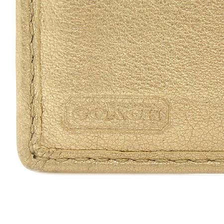 Coach(��ġ) �ñ׳��� ������ �̹���4 - ���̺��� �߰���ǰ