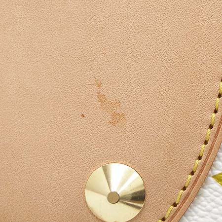Louis Vuitton(���̺���) M40257 ���׷� ĵ���� ��Ƽ �÷� ȭ��Ʈ �ֵ� PM 2WAY [��������] �̹���3 - ���̺��� �߰���ǰ