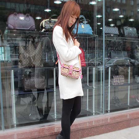 Coach(��ġ) �ñ׳�ó �ڰ��� ũ�ν��� + ��Ʈ ����� �̹���5 - ���̺��� �߰���ǰ