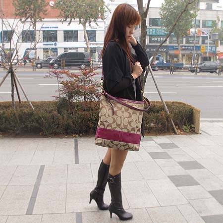 Coach(��ġ) �ñ׳�ó �ڰ��� ���̴�Ʈ ��Ƽġ ����� + ũ�ν� ��Ʈ�� �̹���5 - ���̺��� �߰���ǰ