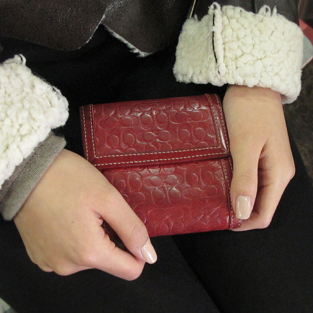 Coach(��ġ) �ñ׳�ó ���� ������ �̹���6 - ���̺��� �߰���ǰ