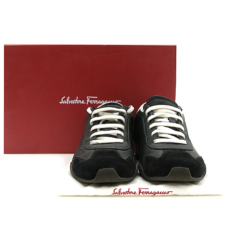 Ferragamo(󰡸) PALAIS ̵  Ŀ ̹2 - ̺ ߰ǰ