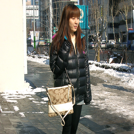Coach(��ġ) �ñ׳�ó �ڰ��� ����� + ��� ��Ʈ�� �̹���5 - ���̺��� �߰���ǰ
