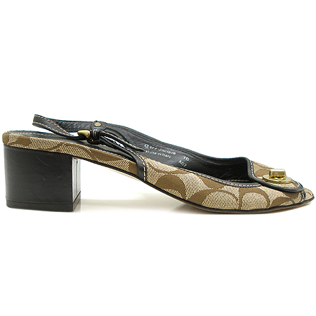 Coach(��ġ) �ñ׳�ó �ڰ��� ������ ���� �̹���3 - ���̺��� �߰���ǰ