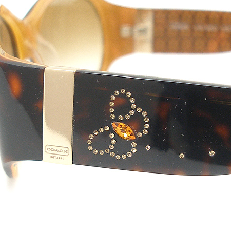 Coach(��ġ) S457 �����ĵ� ���� ���� ���۶� �̹���5 - ���̺��� �߰���ǰ