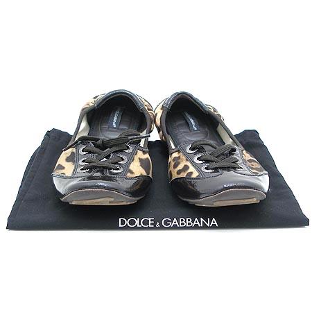 D&G(��ü&���ٳ�)  ȣ�� ���� �÷� ���� 36.5 �̹���2 - ���̺��� �߰���ǰ
