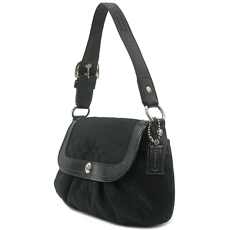 Coach(��ġ) F13739 �ñ׳��� ȣ�� ����� �̹���3 - ���̺��� �߰���ǰ