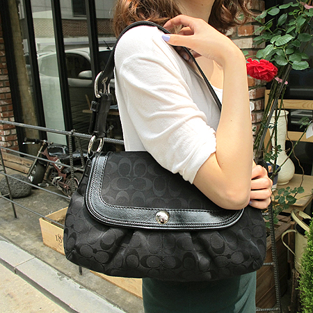 Coach(��ġ) F13739 �ñ׳��� ȣ�� ����� �̹���6 - ���̺��� �߰���ǰ