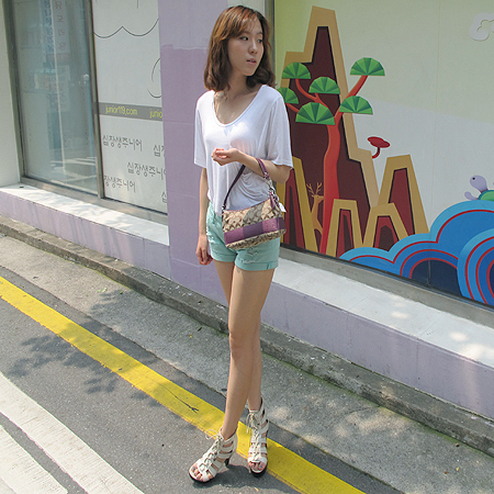 Coach(��ġ) �ñ׳�ó �ڰ��� ����� �̹���5 - ���̺��� �߰���ǰ