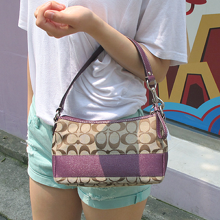 Coach(��ġ) �ñ׳�ó �ڰ��� ����� �̹���6 - ���̺��� �߰���ǰ
