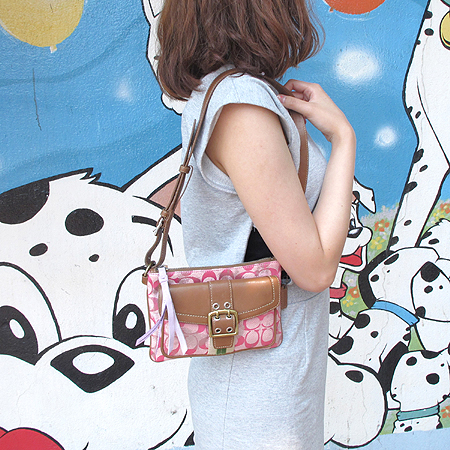 Coach(��ġ) �� �ñ׳�ó �ڰ��� ������ ����� �̹���5 - ���̺��� �߰���ǰ