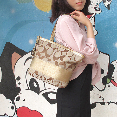 Coach(��ġ) �ñ׳�ó �ڰ��� ����� �̹���6 - ���̺��� �߰���ǰ