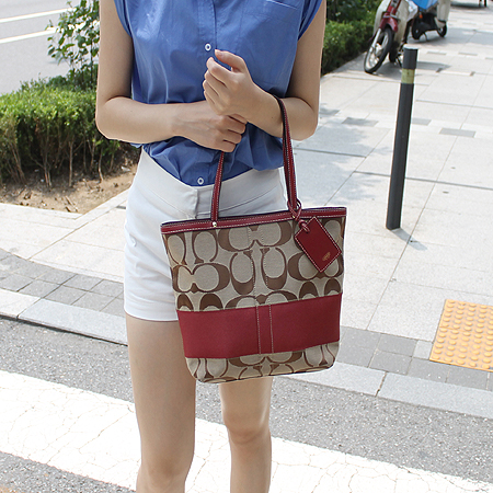 Coach(��ġ) �ñ׳�ó �ڰ��� ����� �̹���6 - ���̺��� �߰���ǰ