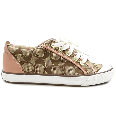 Coach(��ġ) �ΰ� �ڰ��� ������ ����Ŀ�� �̹���3 - ���̺��� �߰���ǰ