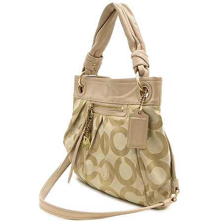 Coach(��ġ) �� ��Ʈ �ڰ��� ����� + ũ�ν� ��Ʈ�� �̹���2 - ���̺��� �߰���ǰ