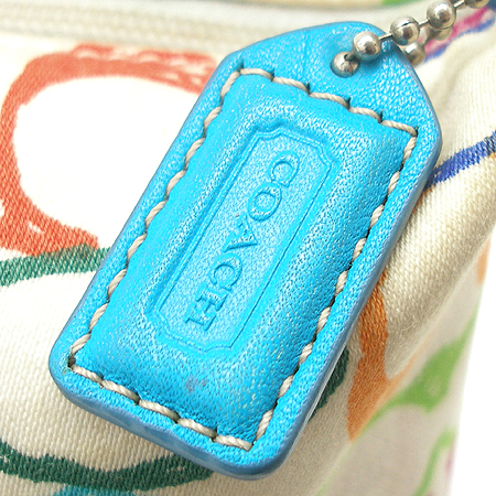 Coach(��ġ) ��Ƽ �÷� �ñ׳��� �Ŀ�ġ �̹���3 - ���̺��� �߰���ǰ
