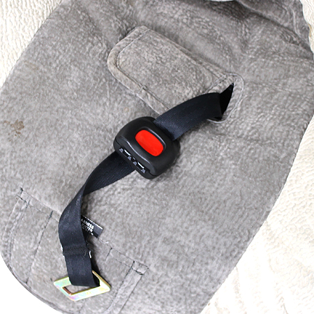 BRITAX(������ý�) ���ƿ� ī��Ʈ [��������] �̹���4 - ���̺��� �߰���ǰ