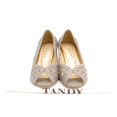 TANDY(�ٵ�) ������ ������ ���� �̹���2 - ���̺��� �߰���ǰ