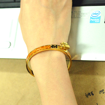 Hermes(�����޽�) ũ��ũ���� ���� �̸� ���� �̹���6 - ���̺��� �߰���ǰ
