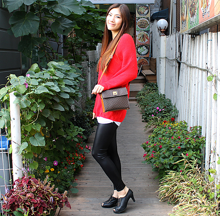 Celine(������) ���� �ΰ� ������ ũ�ν��� �̹���5 - ���̺��� �߰���ǰ