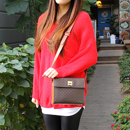 Celine(������) ���� �ΰ� ������ ũ�ν��� �̹���6 - ���̺��� �߰���ǰ