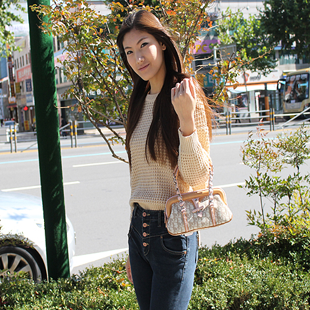 Dior(ũ����î���) LCE44733 �ΰ� ���� ��Ƽġ ��Ʈ�� �̹���6 - ���̺��� �߰���ǰ