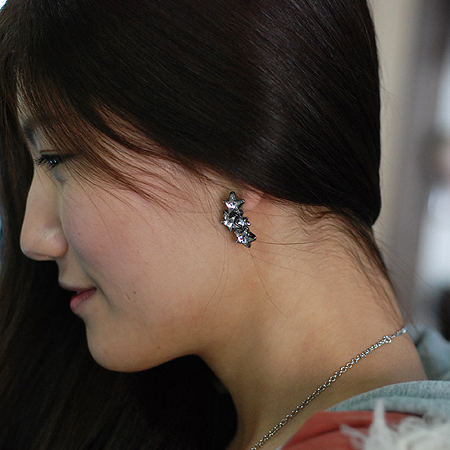 Swarovski(���ͷκ꽺Ű) ��Ÿ �Ͱ��� �̹���5 - ���̺��� �߰���ǰ