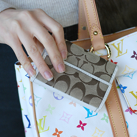 Coach(��ġ) �ñ׳��� ������ �̹���6 - ���̺��� �߰���ǰ