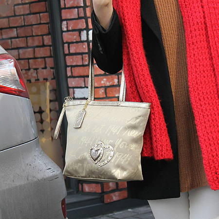 Coach(��ġ) F17097 �ΰ� ������ ��Ʈ ��� ����� �̹���7 - ���̺��� �߰���ǰ