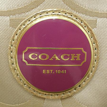 Coach(��ġ) �ñ׳��� ��Ƽ ȣ�� ����� �̹���5 - ���̺��� �߰���ǰ