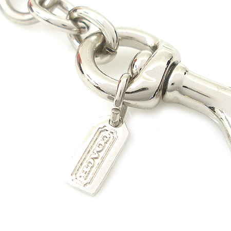 Coach(��ġ) ���ر� ��� �Ǳ� ŰȦ�� �̹���2 - ���̺��� �߰���ǰ
