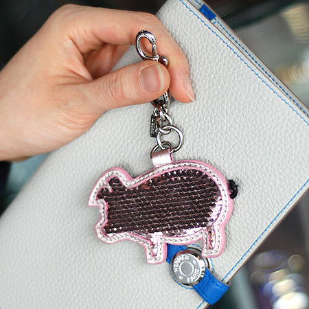 Coach(��ġ) ���ر� ��� �Ǳ� ŰȦ�� �̹���4 - ���̺��� �߰���ǰ