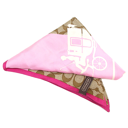 Coach(��ġ) �ñ׳�ó �ΰ� ��ī�� �̹���2 - ���̺��� �߰���ǰ