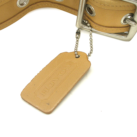 Coach(��ġ) 9718 ������ �÷� ���� ����� �̹���3 - ���̺��� �߰���ǰ